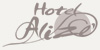 Logo Hotel Alize