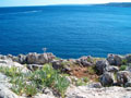 costa