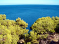 costa