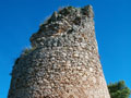 pineta