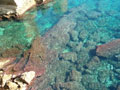 porto vergine